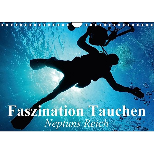 Faszination Tauchen - Neptuns Reich (Wandkalender 2018 DIN A4 quer), Elisabeth Stanzer