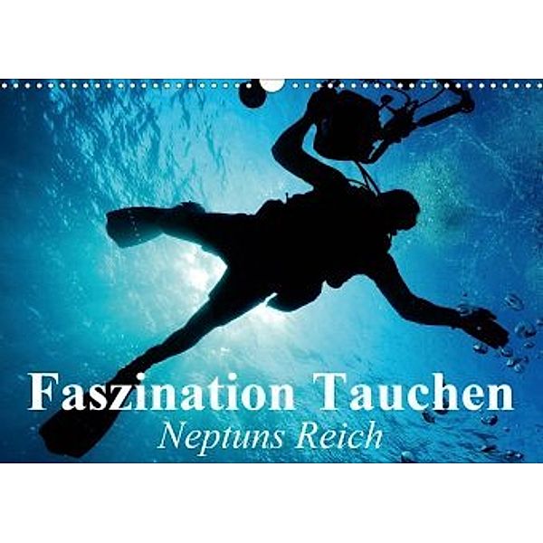 Faszination Tauchen - Neptuns Reich (Wandkalender 2020 DIN A3 quer), Elisabeth Stanzer