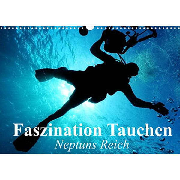 Faszination Tauchen - Neptuns Reich (Wandkalender 2022 DIN A3 quer), Elisabeth Stanzer