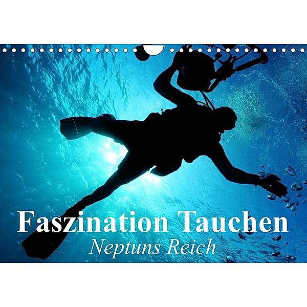 Faszination Tauchen - Neptuns Reich (Wandkalender 2023 DIN A4 quer), Elisabeth Stanzer