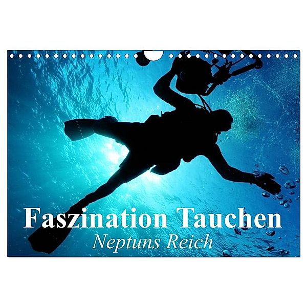 Faszination Tauchen - Neptuns Reich (Wandkalender 2024 DIN A4 quer), CALVENDO Monatskalender, Elisabeth Stanzer