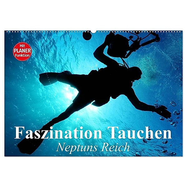 Faszination Tauchen. Neptuns Reich (Wandkalender 2024 DIN A2 quer), CALVENDO Monatskalender, Elisabeth Stanzer
