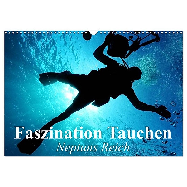 Faszination Tauchen - Neptuns Reich (Wandkalender 2024 DIN A3 quer), CALVENDO Monatskalender, Elisabeth Stanzer
