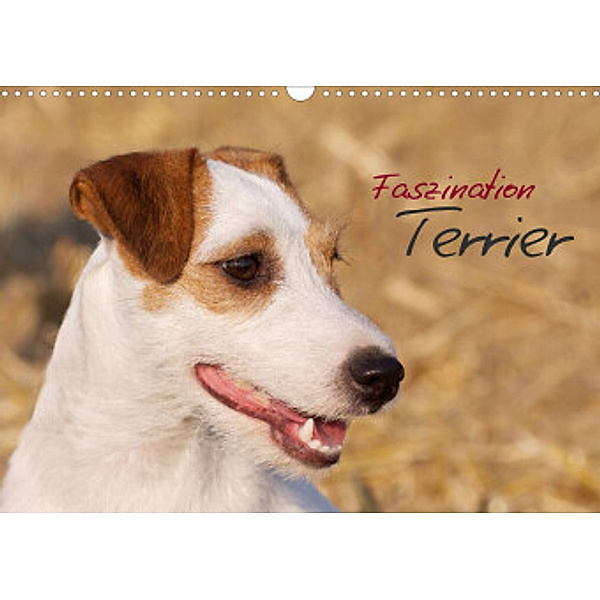 Faszination Terrier (Wandkalender 2022 DIN A3 quer), Nadine Gerlach