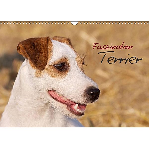 Faszination Terrier (Wandkalender 2023 DIN A3 quer), Nadine Gerlach