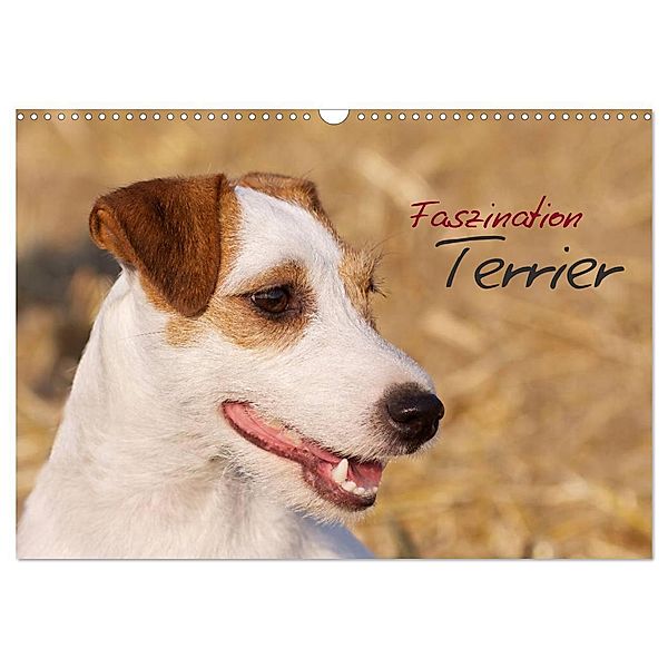 Faszination Terrier (Wandkalender 2024 DIN A3 quer), CALVENDO Monatskalender, Nadine Gerlach