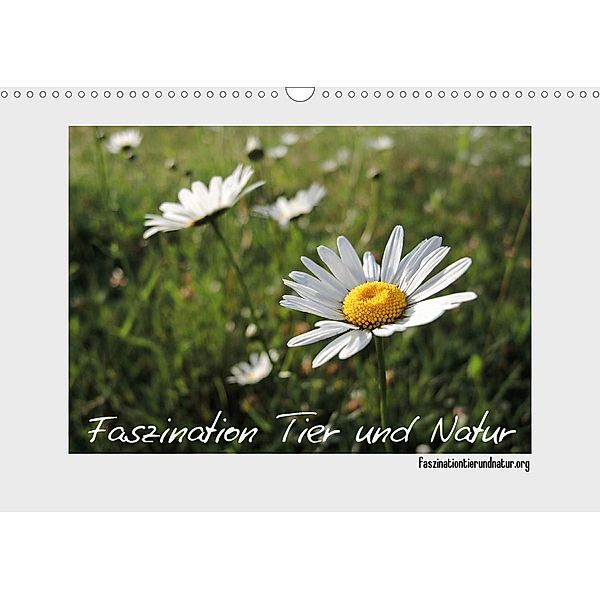 Faszination Tier und Natur (Wandkalender 2021 DIN A3 quer), Henning Harmelink