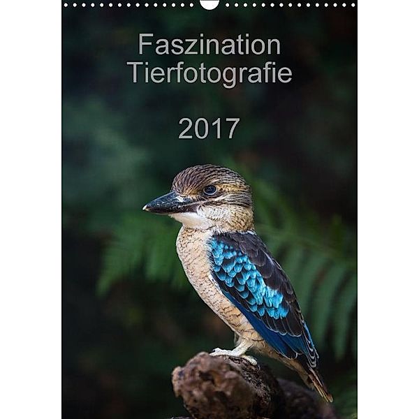 Faszination Tierfotografie 2017 (Wandkalender 2017 DIN A3 hoch), Cloudtail, k.A. Cloudtail