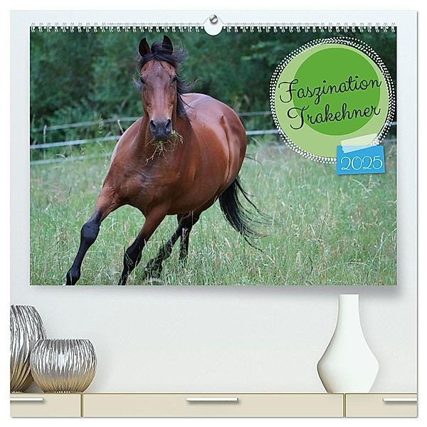 Faszination Trakehner (hochwertiger Premium Wandkalender 2025 DIN A2 quer), Kunstdruck in Hochglanz, Calvendo, Babett Paul - Babetts Bildergalerie