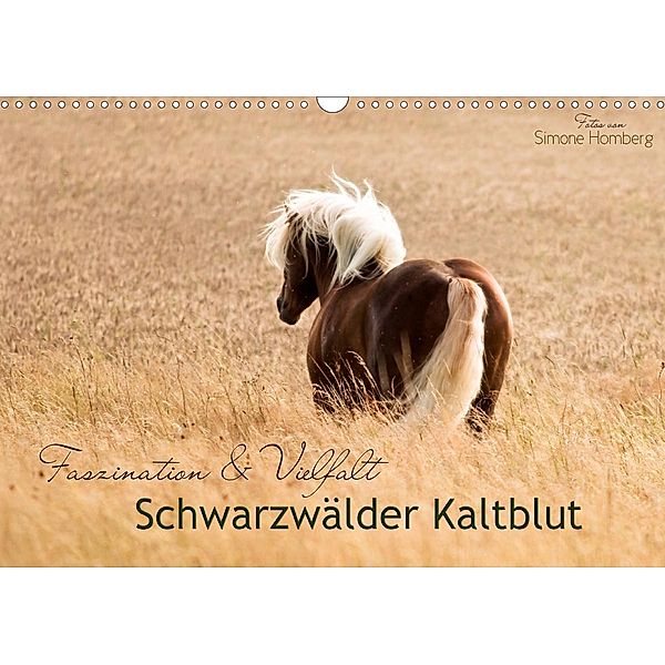 Faszination und Vielfalt - Schwarzwälder Kaltblut (Wandkalender 2021 DIN A3 quer), Simone Homberg