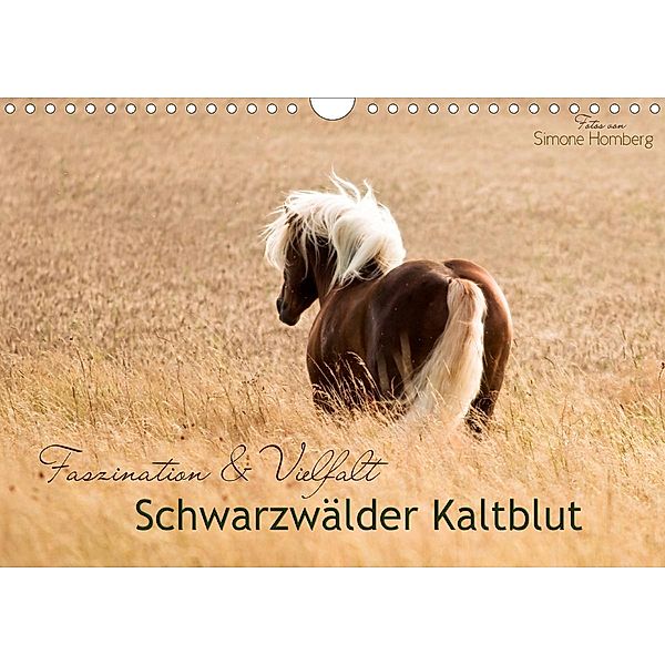 Faszination und Vielfalt - Schwarzwälder Kaltblut (Wandkalender 2021 DIN A4 quer), Simone Homberg