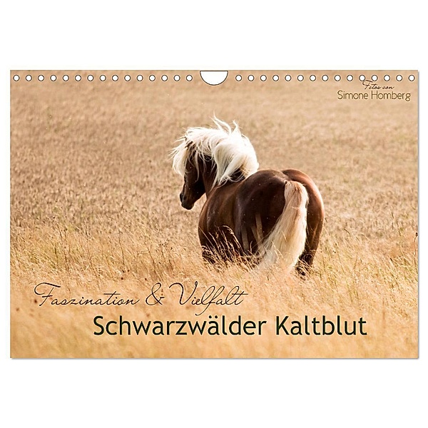 Faszination und Vielfalt - Schwarzwälder Kaltblut (Wandkalender 2024 DIN A4 quer), CALVENDO Monatskalender, Simone Homberg
