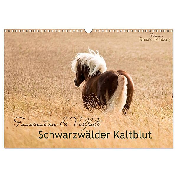 Faszination und Vielfalt - Schwarzwälder Kaltblut (Wandkalender 2024 DIN A3 quer), CALVENDO Monatskalender, Simone Homberg