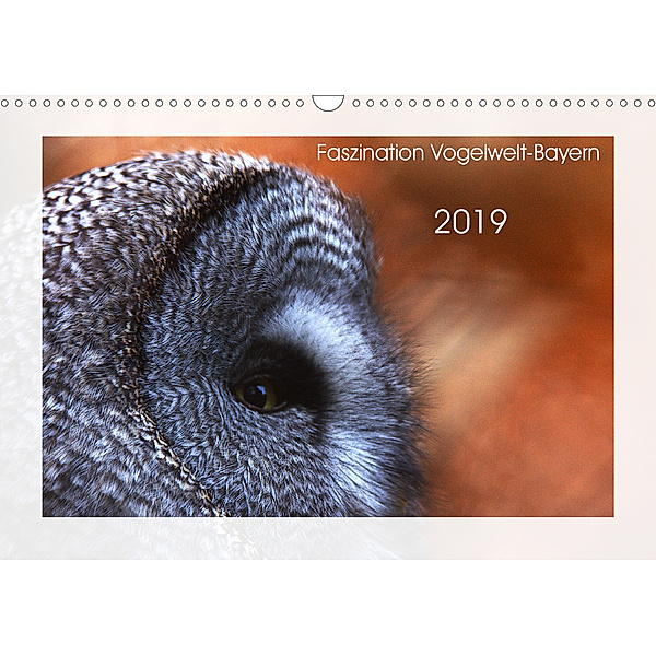 Faszination Vogelwelt -Bayern (Wandkalender 2019 DIN A3 quer), Kevin Andreas Lederle