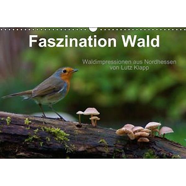 Faszination Wald. Waldimpressionen aus Nordhessen von Lutz Klapp (Wandkalender 2015 DIN A3 quer), Lutz Klapp