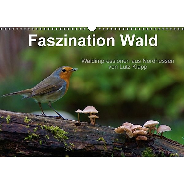 Faszination Wald. Waldimpressionen aus Nordhessen von Lutz Klapp (Wandkalender 2018 DIN A3 quer), Lutz Klapp