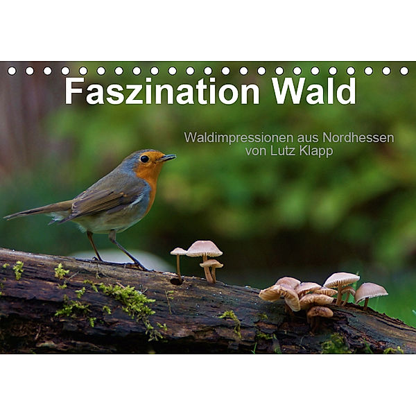 Faszination Wald. Waldimpressionen aus Nordhessen von Lutz Klapp (Tischkalender 2019 DIN A5 quer), Lutz Klapp