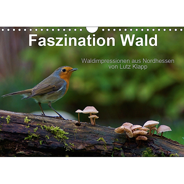 Faszination Wald. Waldimpressionen aus Nordhessen von Lutz Klapp (Wandkalender 2019 DIN A4 quer), Lutz Klapp