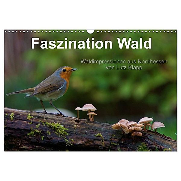 Faszination Wald. Waldimpressionen aus Nordhessen von Lutz Klapp (Wandkalender 2024 DIN A3 quer), CALVENDO Monatskalender, Lutz Klapp