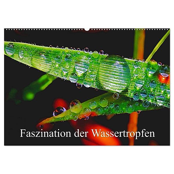 Faszination Wassertropfen (Wandkalender 2024 DIN A2 quer), CALVENDO Monatskalender, Michis Fotogalerie