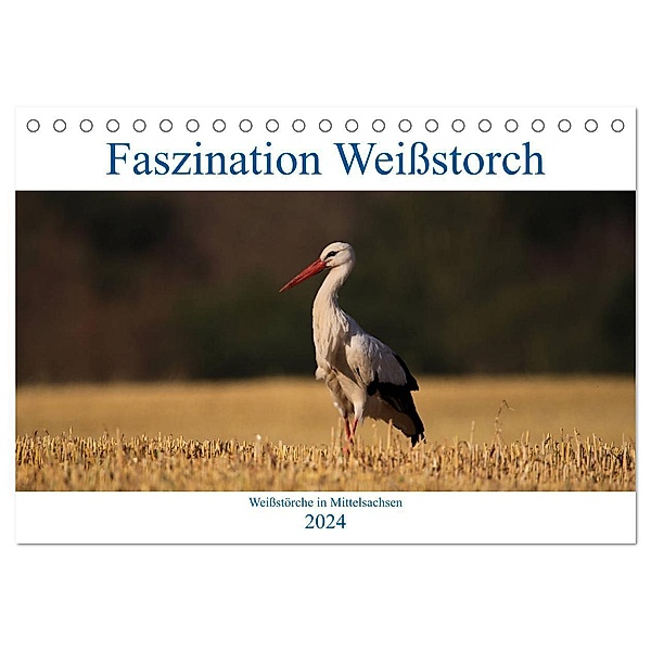 Faszination Weißstorch (Tischkalender 2024 DIN A5 quer), CALVENDO Monatskalender, Anja Eitzenberger