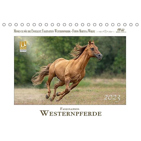 Faszination Westernpferde (Tischkalender 2023 DIN A5 quer), Martina Wrede - Wredefotografie
