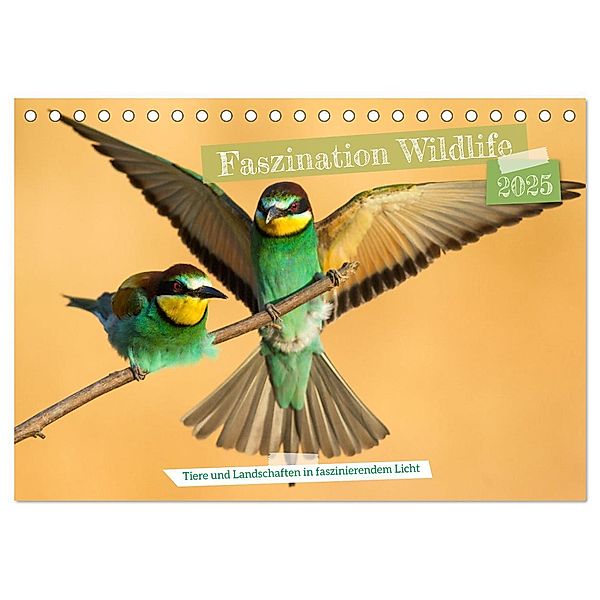 Faszination Wildlife (Tischkalender 2025 DIN A5 quer), CALVENDO Monatskalender, Calvendo, Frederic Bauer