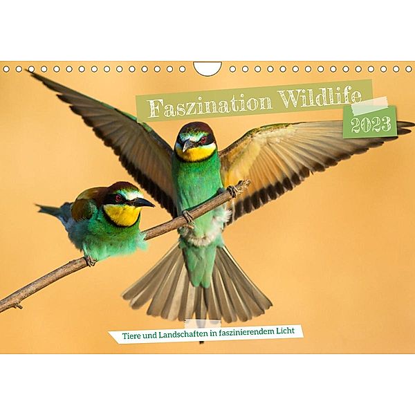 Faszination Wildlife (Wandkalender 2023 DIN A4 quer), Frederic Bauer