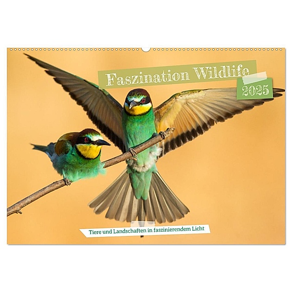 Faszination Wildlife (Wandkalender 2025 DIN A2 quer), CALVENDO Monatskalender, Calvendo, Frederic Bauer
