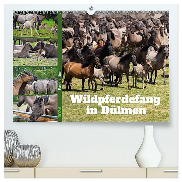 Faszination Wildpferdefang in Dülmen (hochwertiger Premium Wandkalender 2024 DIN A2 quer), Kunstdruck in Hochglanz, Babett Paul - Babetts Bildergalerie