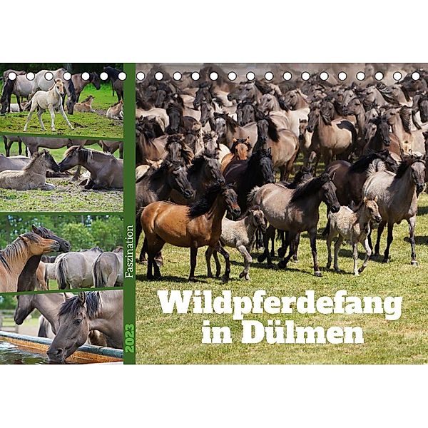 Faszination Wildpferdefang in Dülmen (Tischkalender 2023 DIN A5 quer), Babett Paul - Babetts Bildergalerie