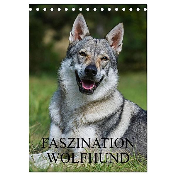 Faszination Wolfhund (Tischkalender 2024 DIN A5 hoch), CALVENDO Monatskalender, Sigrid Starick