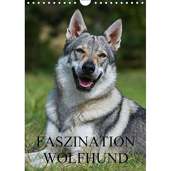 Faszination Wolfhund (Wandkalender 2017 DIN A4 hoch), Sigrid Starick