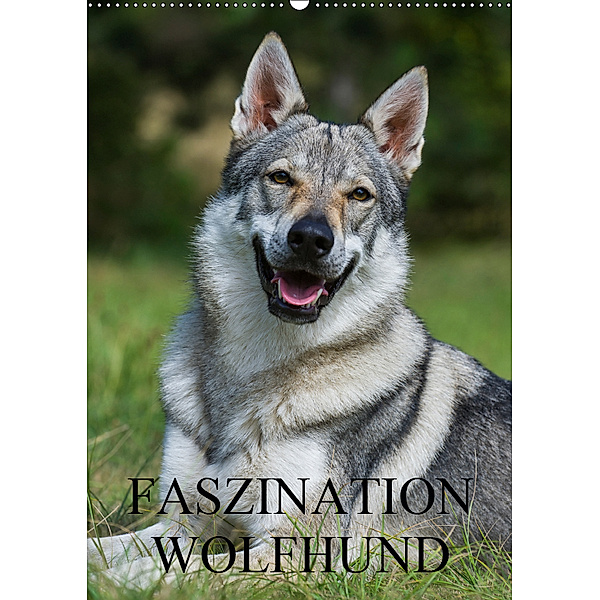 Faszination Wolfhund (Wandkalender 2019 DIN A2 hoch), Sigrid Starick