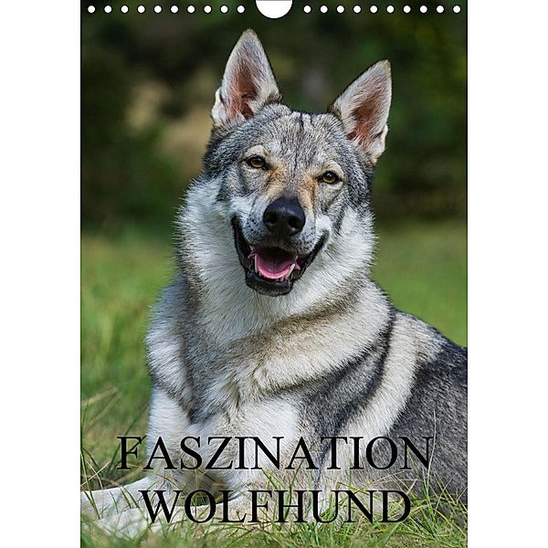 Faszination Wolfhund (Wandkalender 2020 DIN A4 hoch), Sigrid Starick