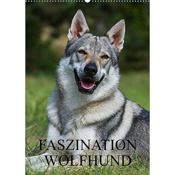 Faszination Wolfhund (Wandkalender 2023 DIN A2 hoch), Sigrid Starick
