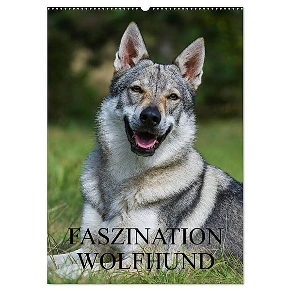 Faszination Wolfhund (Wandkalender 2024 DIN A2 hoch), CALVENDO Monatskalender, Sigrid Starick