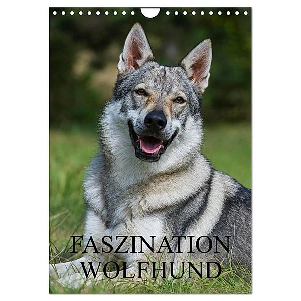 Faszination Wolfhund (Wandkalender 2024 DIN A4 hoch), CALVENDO Monatskalender, Sigrid Starick
