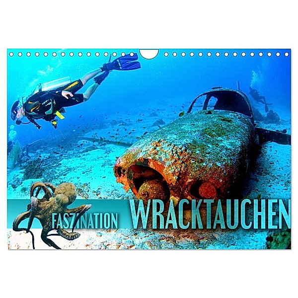 Faszination Wracktauchen (Wandkalender 2024 DIN A4 quer), CALVENDO Monatskalender, Renate Utz