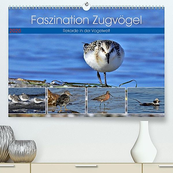 Faszination Zugvögel - Rekorde in der Vogelwelt (Premium, hochwertiger DIN A2 Wandkalender 2020, Kunstdruck in Hochglanz, René Schaack