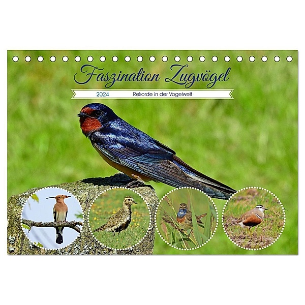Faszination Zugvögel - Rekorde in der Vogelwelt (Tischkalender 2024 DIN A5 quer), CALVENDO Monatskalender, René Schaack