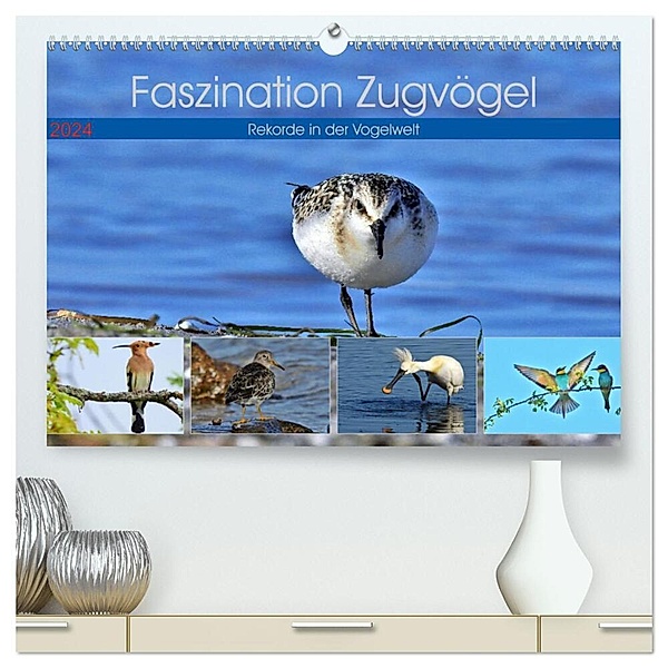 Faszination Zugvögel - Rekorde in der Vogelwelt (hochwertiger Premium Wandkalender 2024 DIN A2 quer), Kunstdruck in Hochglanz, René Schaack