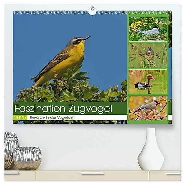 Faszination Zugvögel - Rekorde in der Vogelwelt (hochwertiger Premium Wandkalender 2025 DIN A2 quer), Kunstdruck in Hochglanz, Calvendo, René Schaack