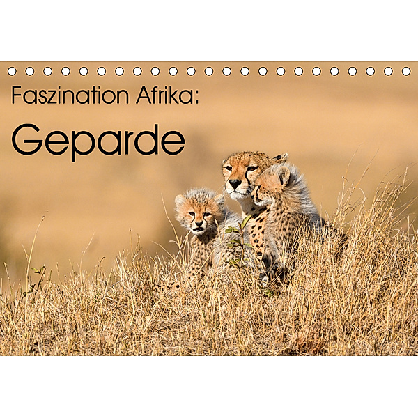 Faszinaton Afrika: Geparde (Tischkalender 2020 DIN A5 quer), Elmar Weiss