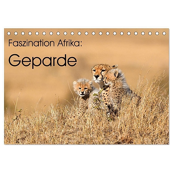Faszinaton Afrika: Geparde (Tischkalender 2024 DIN A5 quer), CALVENDO Monatskalender, Elmar Weiss