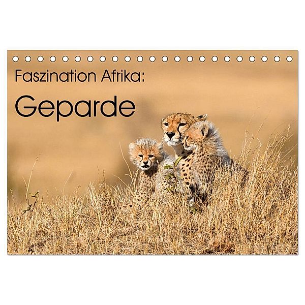 Faszinaton Afrika: Geparde (Tischkalender 2025 DIN A5 quer), CALVENDO Monatskalender, Calvendo, Elmar Weiß