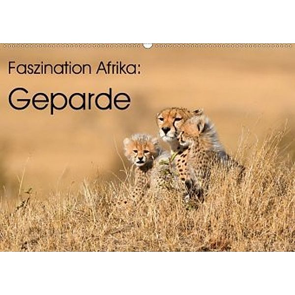 Faszinaton Afrika: Geparde (Wandkalender 2020 DIN A2 quer), Elmar Weiss