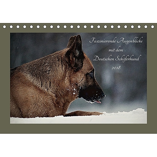 Faszinierende Augenblicke mit dem Deutschen Schäferhund (Tischkalender 2018 DIN A5 quer), Danica Krunic