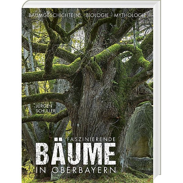 Faszinierende Bäume in Oberbayern, Jürgen Schuller