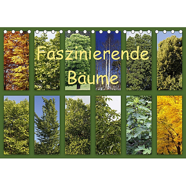 Faszinierende Bäume (Tischkalender 2019 DIN A5 quer), Anette Jäger